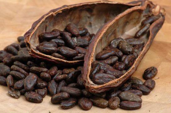 Bitter Kakao