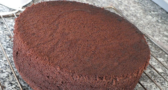 Kakaolu Pandispanya Tarifi ve Malzemeleri